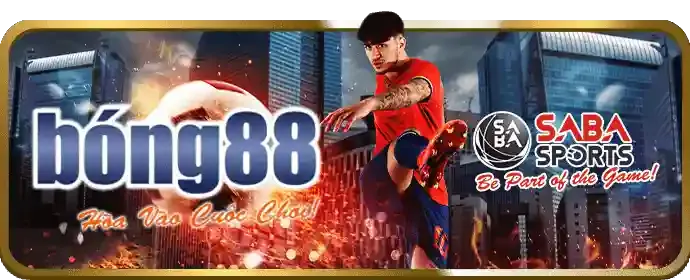 Giao diện cá cược thân thiện của Wibet